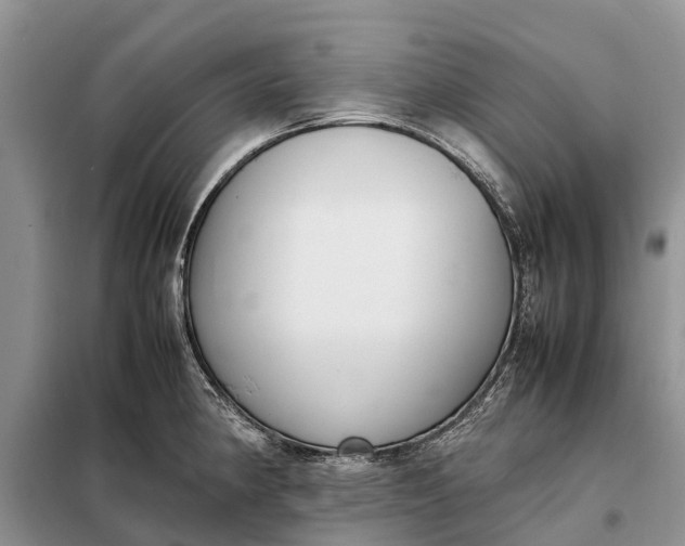 X0000097981190200804071116