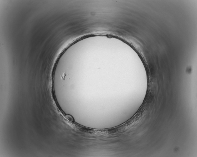 X0000097981191200804071116