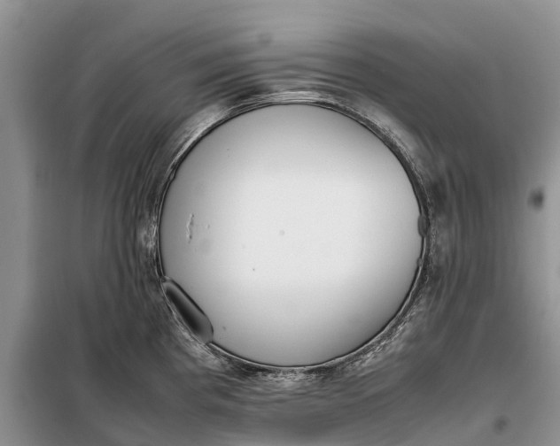 X0000097981193200804071116