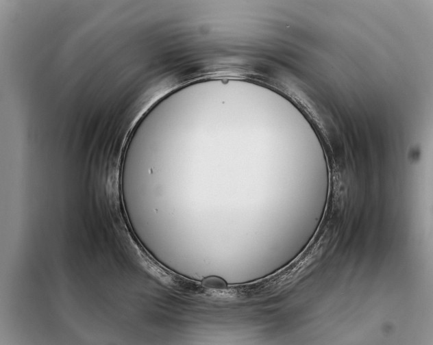 X0000097981194200804071116