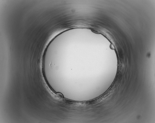 X0000097981195200804071116