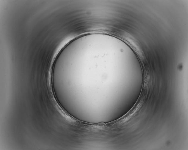 X0000097981196200804071116