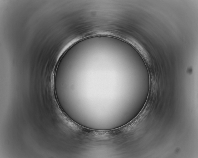 X0000097981198200804071116