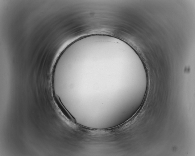 X0000097981200200804071116
