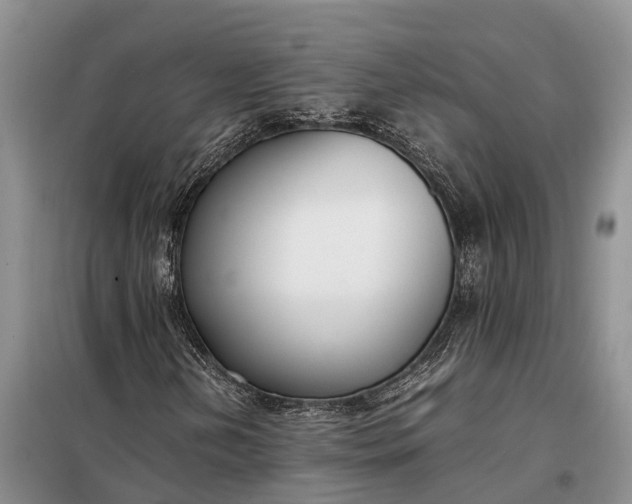 X0000097981202200804071115