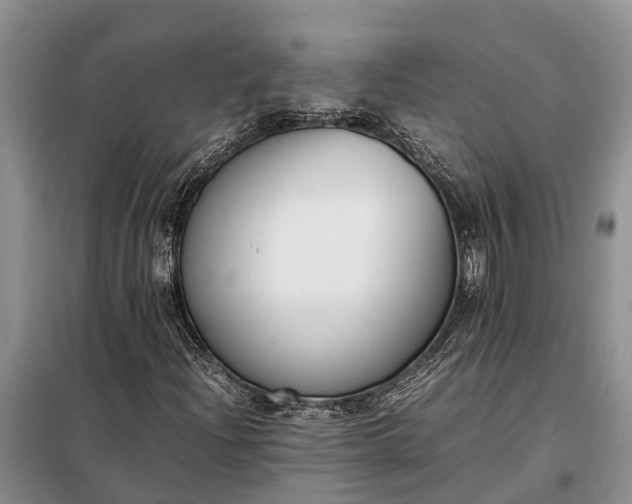 X0000097981204200804071116