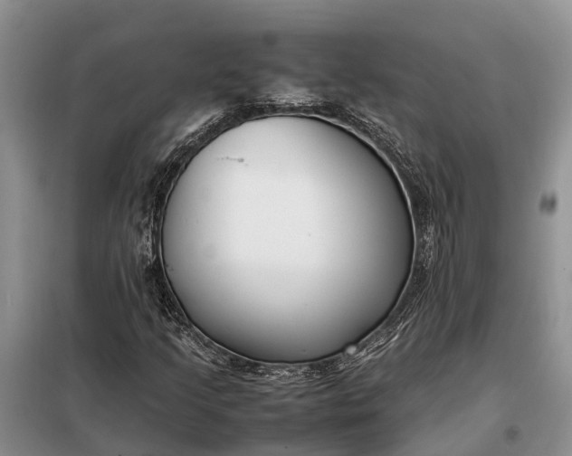 X0000097981205200804071116