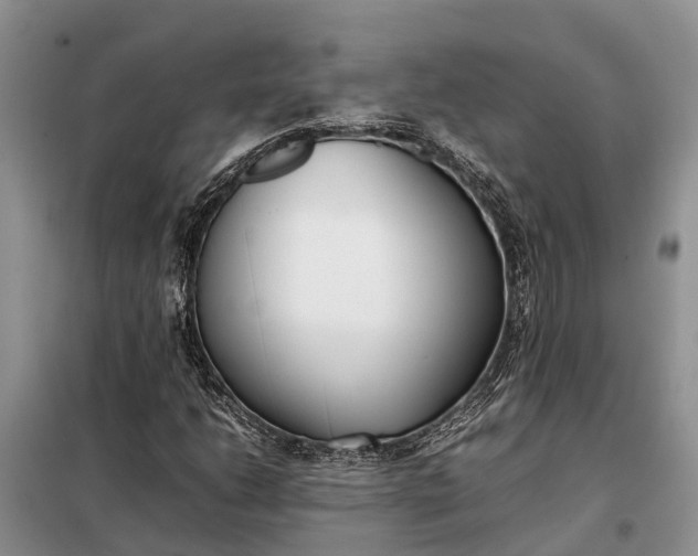 X0000097981206200804071116