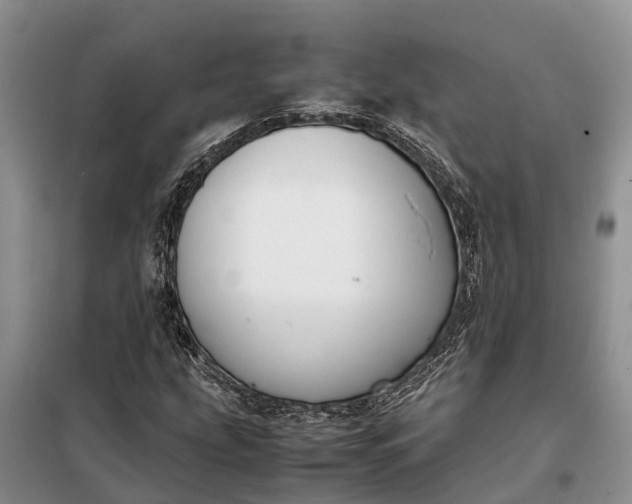 X0000097981207200804071116