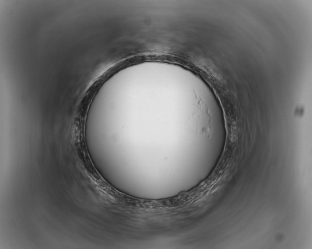 X0000097981208200804071116