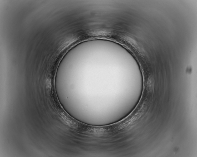 X0000097981209200804071116