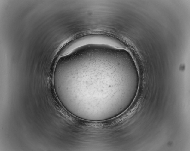 X0000097981210200804071116