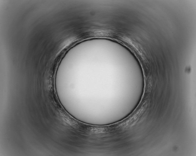 X0000097981211200804071116