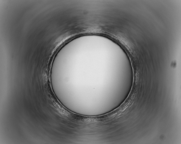 X0000097981212200804071116