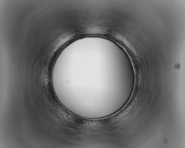 X0000097981213200804071116