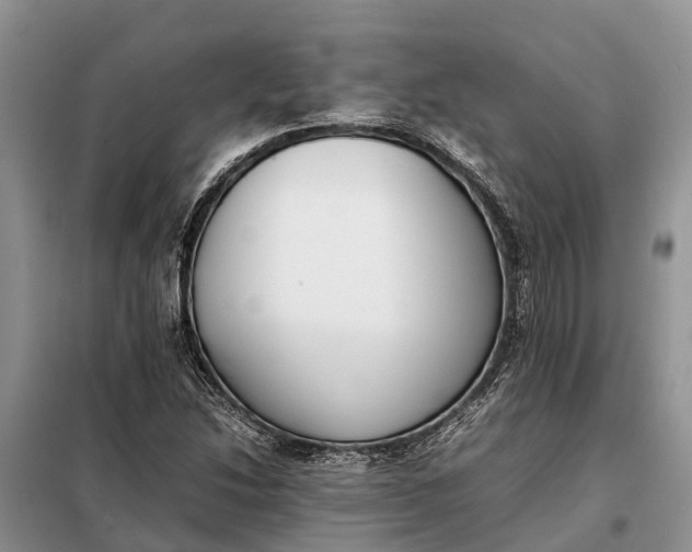 X0000097981214200804071116