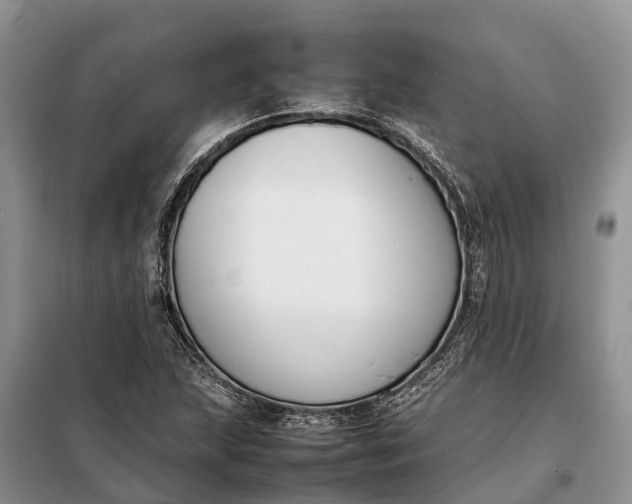 X0000097981215200804071116