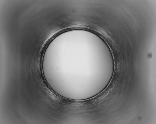 X0000097981216200804071116