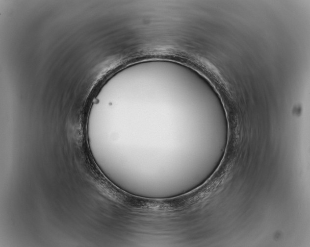 X0000097981218200804071116