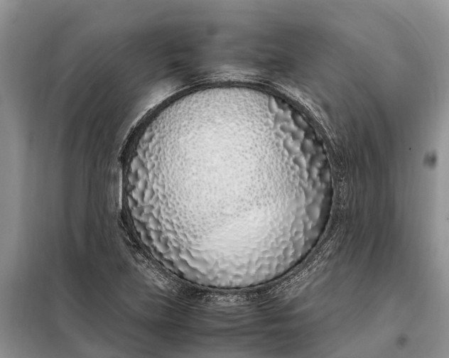 X0000097981219200804071116