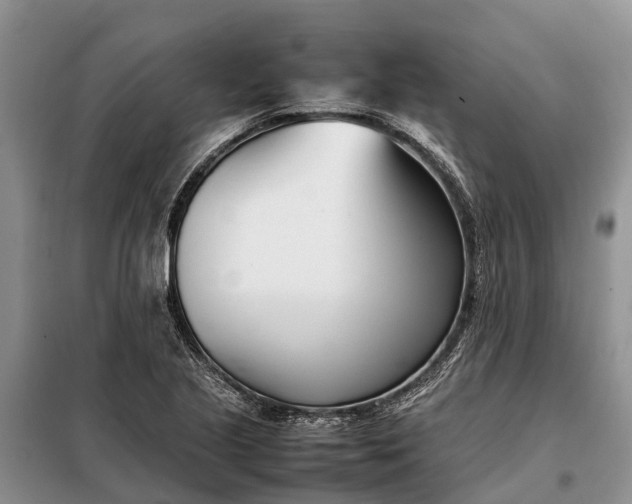 X0000097981221200804071116