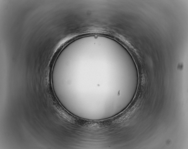 X0000097981222200804071116