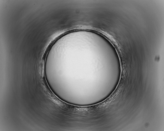 X0000097981223200804071116