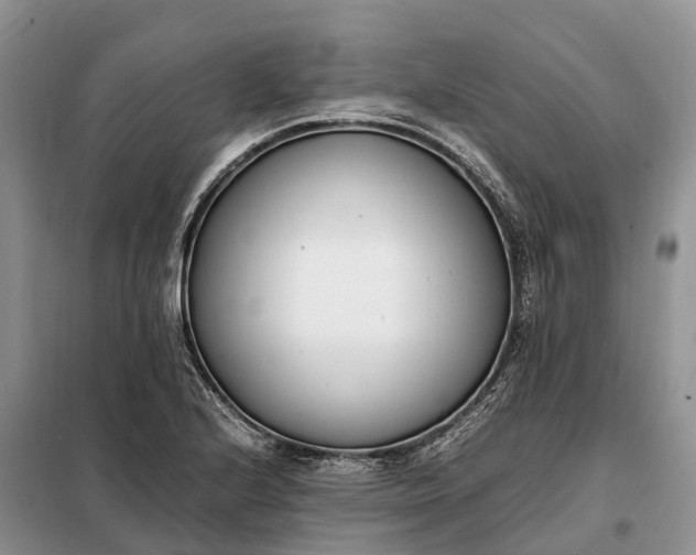 X0000097981224200804071116