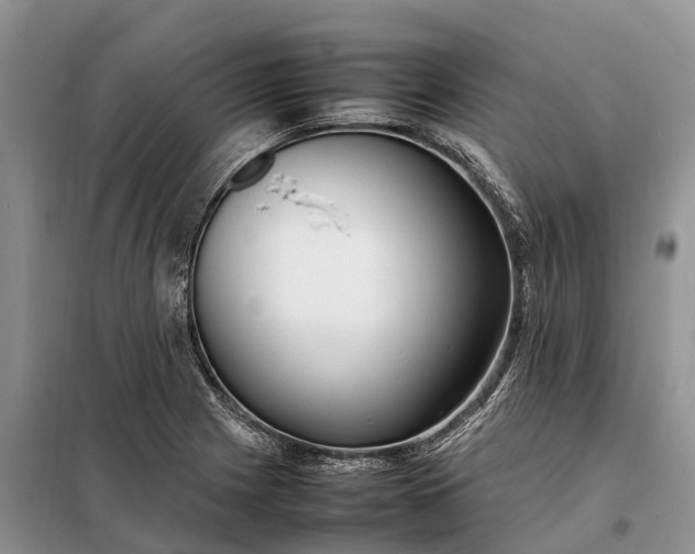 X0000097981225200804071116