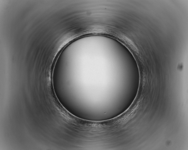 X0000097981226200804071116