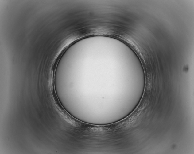 X0000097981227200804071116