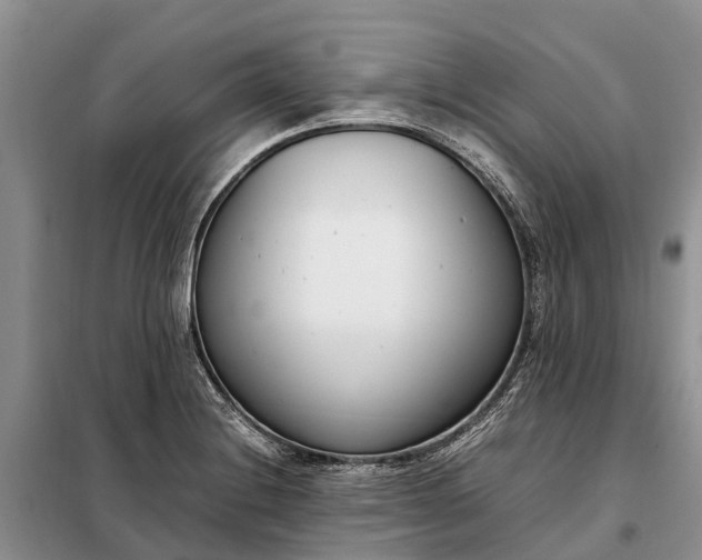 X0000097981228200804071116