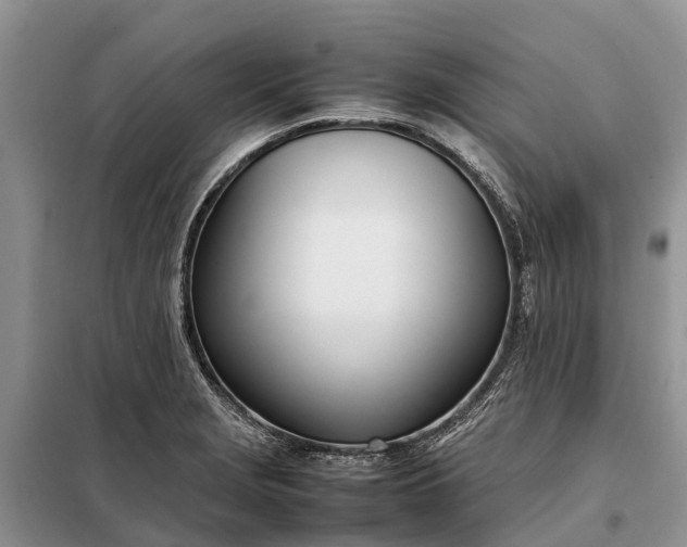 X0000097981229200804071116