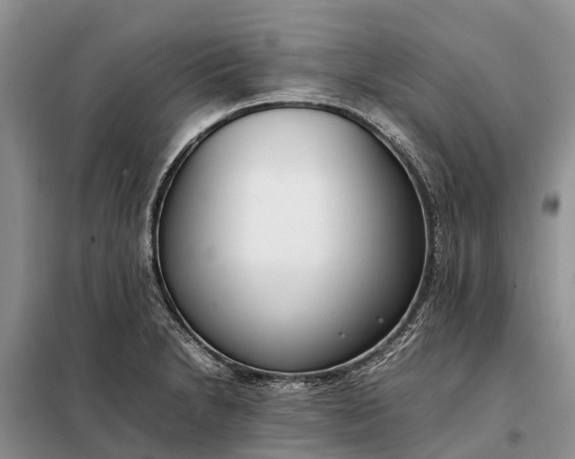 X0000097981230200804071116