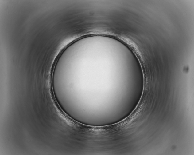 X0000097981231200804071116