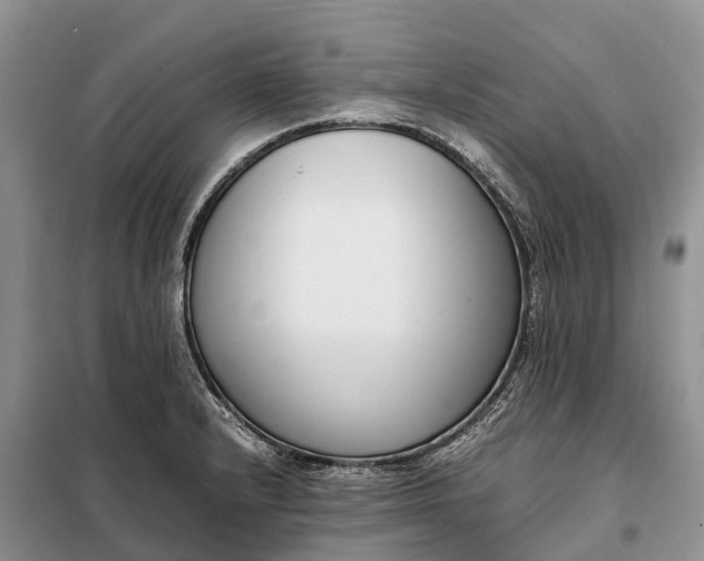 X0000097981232200804071116