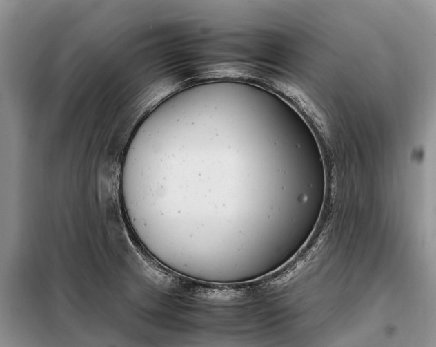 X0000097981233200804071116