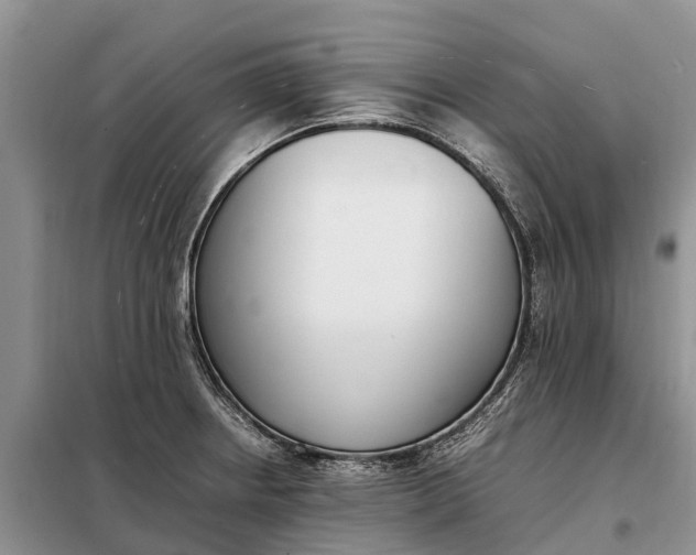 X0000097981234200804071116