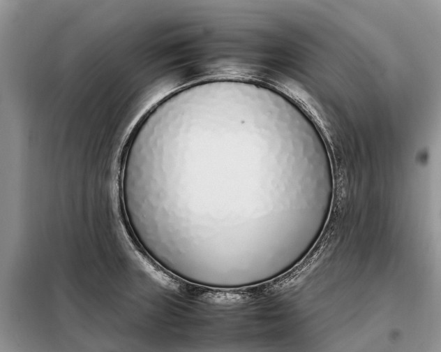 X0000097981235200804071116