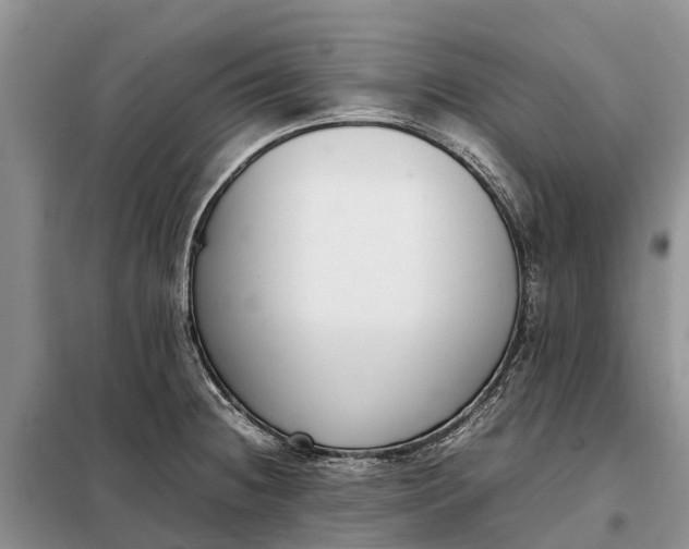 X0000097981236200804071116