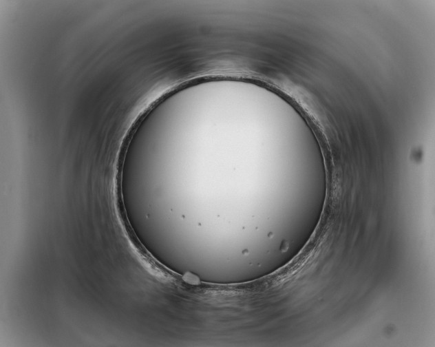 X0000097981237200804071116
