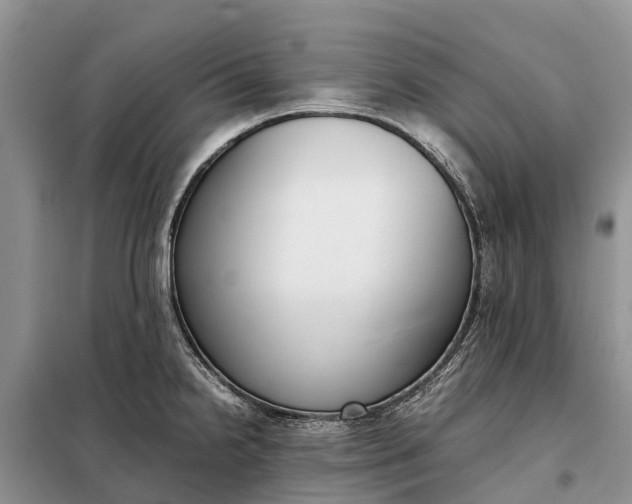X0000097981238200804071116