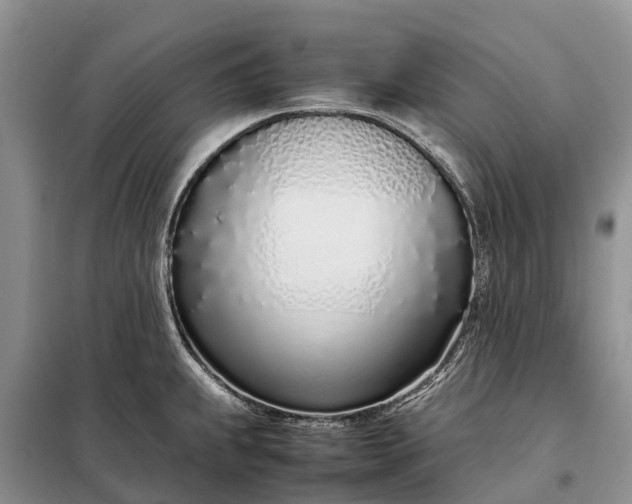 X0000097981239200804071116