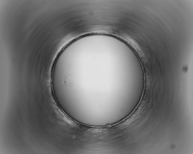 X0000097981240200804071116