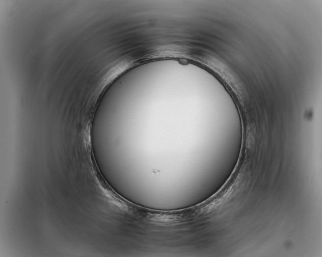 X0000097981241200804071116