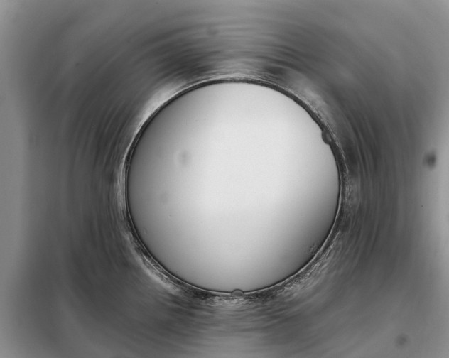 X0000097981242200804071116