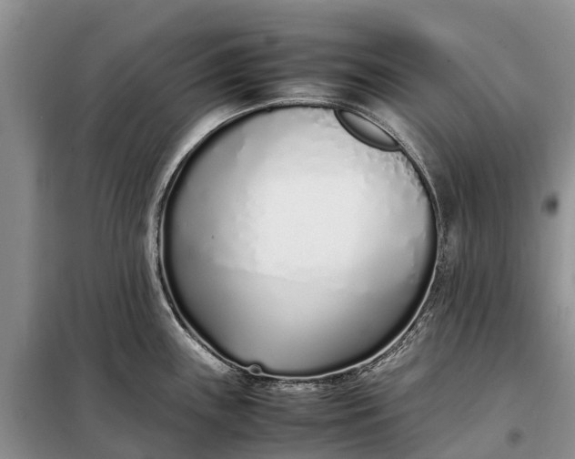X0000097981243200804071116