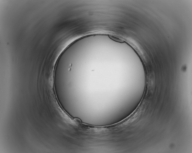 X0000097981244200804071116