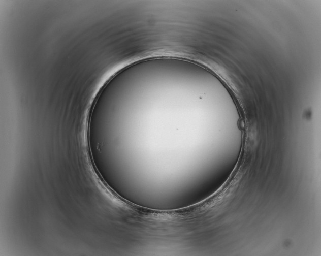 X0000097981246200804071116