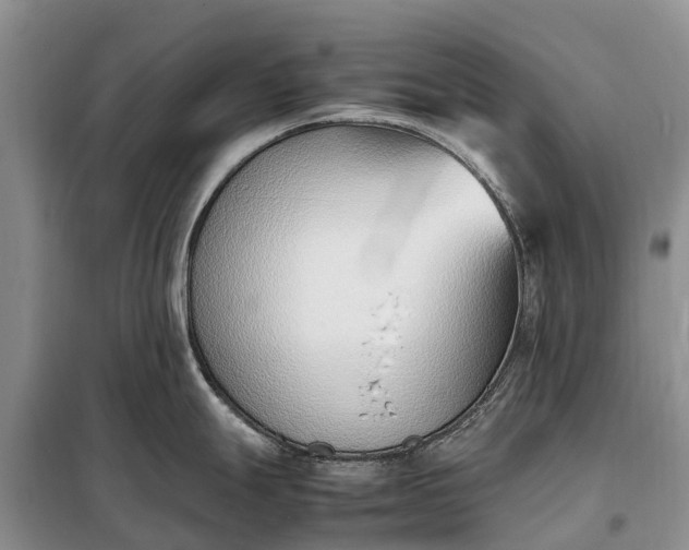 X0000097981247200804071116
